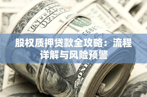 武汉股权质押贷款全攻略：流程详解与风险预警