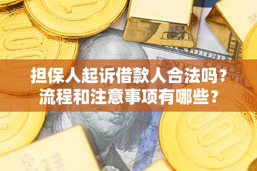武汉担保人起诉借款人合法吗？流程和注意事项有哪些？