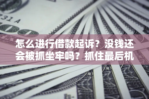 武汉怎么进行借款起诉？没钱还会被抓坐牢吗？抓住最后机会！