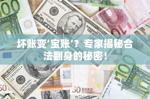 武汉坏账变‘宝账’？专家揭秘合法翻身的秘密！