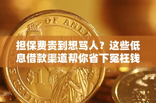 武汉担保费贵到想骂人？这些低息借款渠道帮你省下冤枉钱