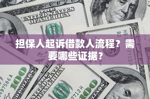 武汉担保人起诉借款人流程？需要哪些证据？