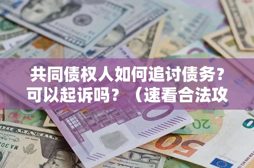 武汉共同债权人如何追讨债务？可以起诉吗？（速看合法攻略）