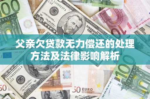 武汉父亲欠贷款无力偿还的处理方法及法律影响解析